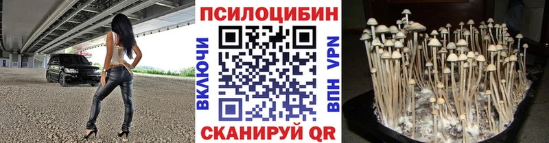 Псилоцибиновые грибы прущие грибы  Луга 
